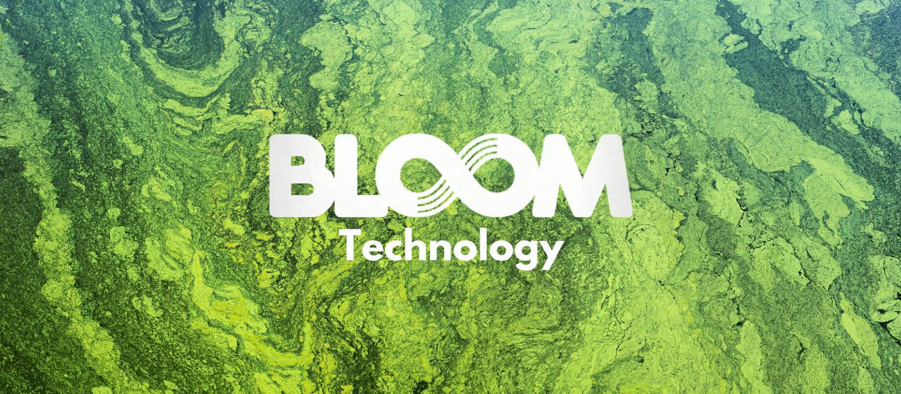 bloom