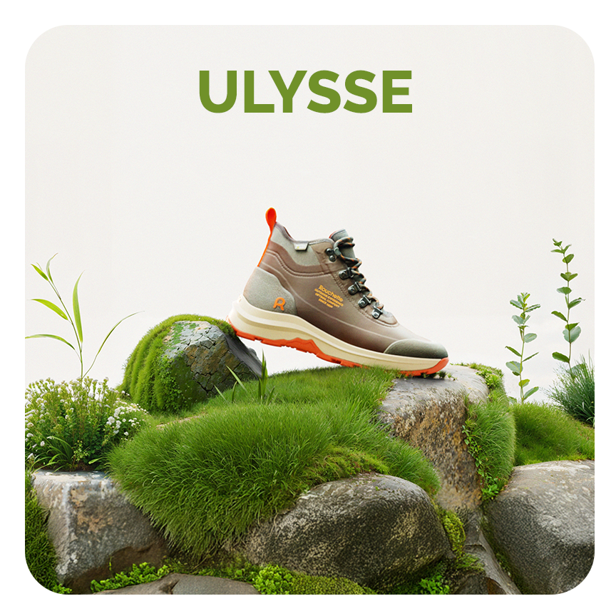 encart responsable ulysse
