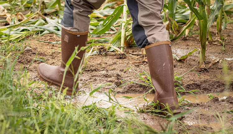 Wellington boot shops near me hotsell