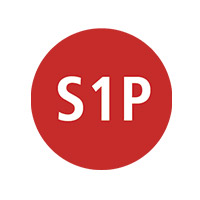 s1p