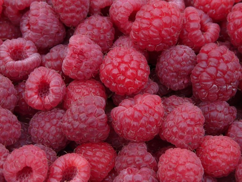 Framboises